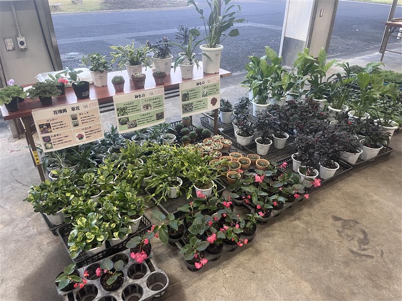 Image - 2025-11-07T163714.629